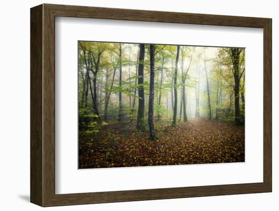 Autumn Path-Philippe Manguin-Framed Photographic Print