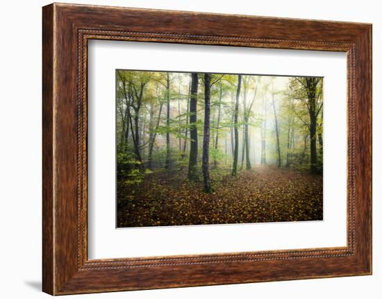 Autumn Path-Philippe Manguin-Framed Photographic Print