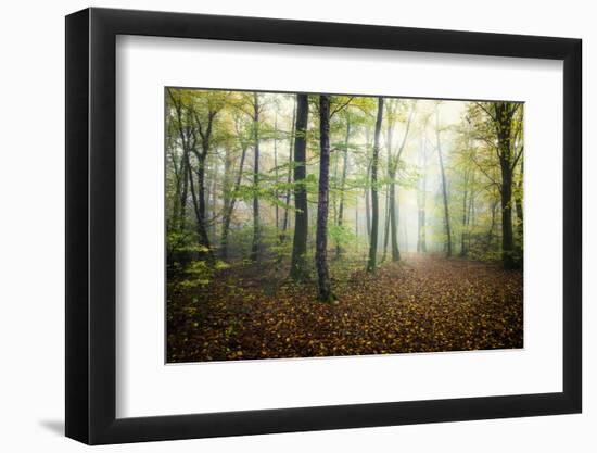 Autumn Path-Philippe Manguin-Framed Photographic Print