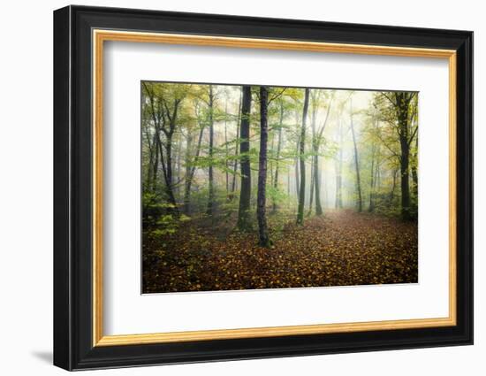 Autumn Path-Philippe Manguin-Framed Photographic Print