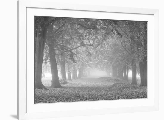 Autumn Pathway - Noir-Assaf Frank-Framed Giclee Print