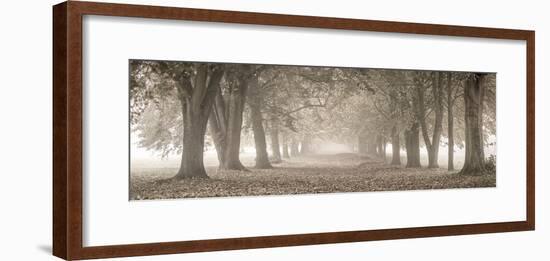 Autumn Pathway-Assaf Frank-Framed Giclee Print