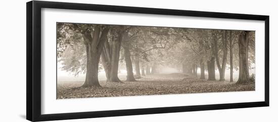 Autumn Pathway-Assaf Frank-Framed Giclee Print