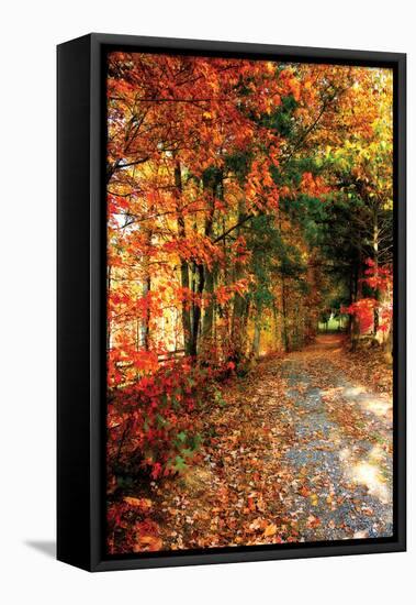 Autumn Pathway-Alan Hausenflock-Framed Premier Image Canvas