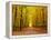 Autumn Pathway-sborisov-Framed Premier Image Canvas