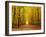 Autumn Pathway-sborisov-Framed Photographic Print