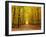 Autumn Pathway-sborisov-Framed Photographic Print