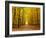 Autumn Pathway-sborisov-Framed Photographic Print