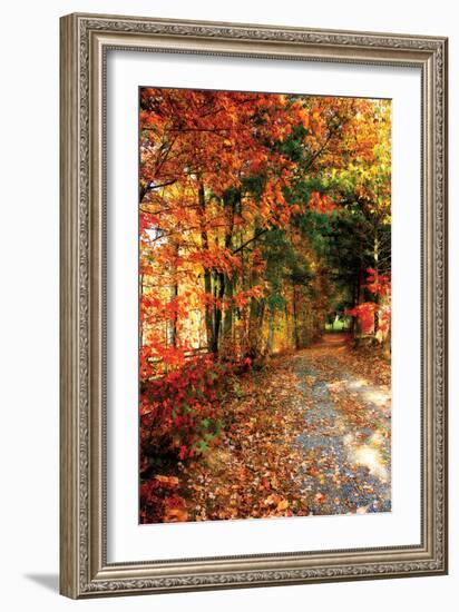 Autumn Pathway-Alan Hausenflock-Framed Photographic Print
