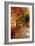 Autumn Pathway-Alan Hausenflock-Framed Photographic Print