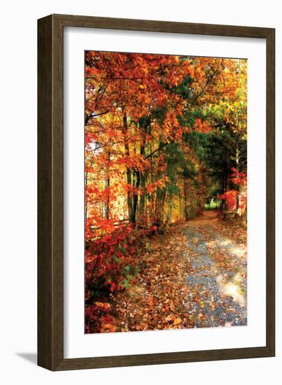 Autumn Pathway-Alan Hausenflock-Framed Photographic Print