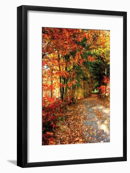 Autumn Pathway-Alan Hausenflock-Framed Photographic Print