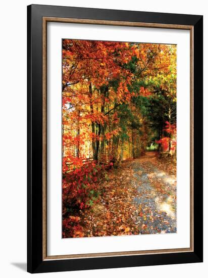 Autumn Pathway-Alan Hausenflock-Framed Photographic Print