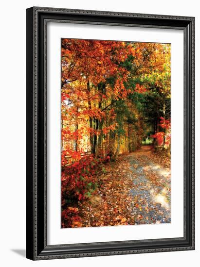 Autumn Pathway-Alan Hausenflock-Framed Photographic Print