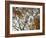 Autumn Patterns-Nicole Katano-Framed Photo