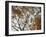 Autumn Patterns-Nicole Katano-Framed Photo