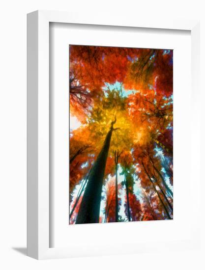 Autumn Perspective-Philippe Sainte-Laudy-Framed Photographic Print