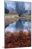 Autumn Pond Reflections, Calistoga Napa Valley-Vincent James-Mounted Photographic Print