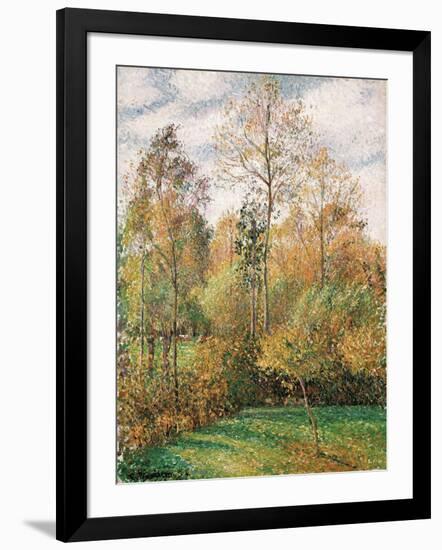 Autumn, Poplars, Eragny-Camille Pissarro-Framed Giclee Print