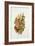 Autumn posy-Nell Hill-Framed Giclee Print