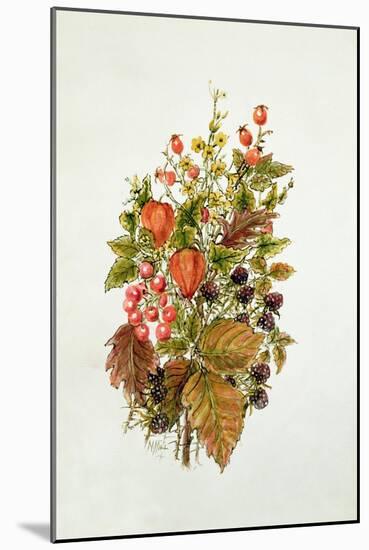 Autumn posy-Nell Hill-Mounted Giclee Print