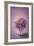 Autumn Purple Flower in a Vase-egal-Framed Art Print