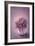 Autumn Purple Flower in a Vase-egal-Framed Art Print