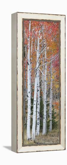 Autumn Quaking Aspen Trees, Boulder Mountain, Utah, Usa-null-Framed Premier Image Canvas