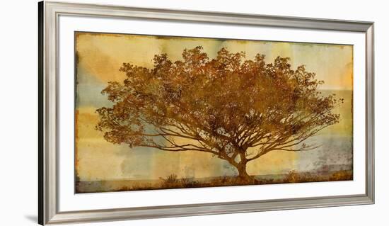 Autumn Radiance Sepia-Mark Chandon-Framed Art Print