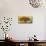 Autumn Radiance-Mark Chandon-Giclee Print displayed on a wall