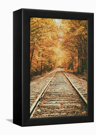 Autumn Railroad, New Engalnd Fall Foilage-Vincent James-Framed Premier Image Canvas