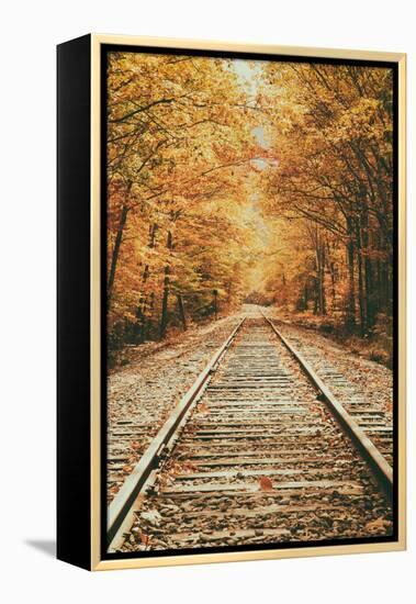 Autumn Railroad, New Engalnd Fall Foilage-Vincent James-Framed Premier Image Canvas