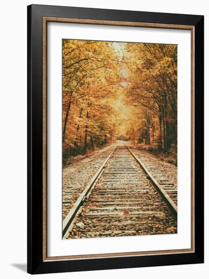 Autumn Railroad, New Engalnd Fall Foilage-Vincent James-Framed Photographic Print