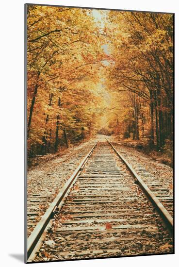 Autumn Railroad, New Engalnd Fall Foilage-Vincent James-Mounted Photographic Print