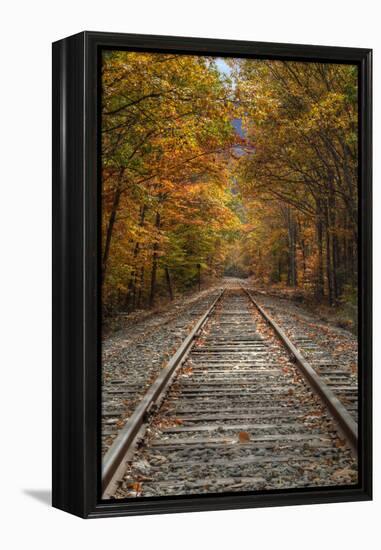Autumn Railroad Tracks, White Mountain, New Hampshire-Vincent James-Framed Premier Image Canvas