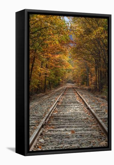 Autumn Railroad Tracks, White Mountain, New Hampshire-Vincent James-Framed Premier Image Canvas