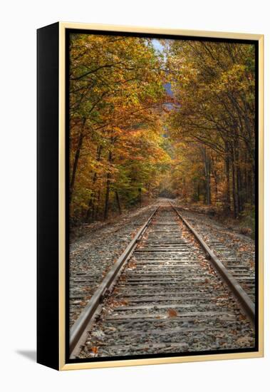 Autumn Railroad Tracks, White Mountain, New Hampshire-Vincent James-Framed Premier Image Canvas