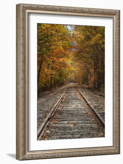 Autumn Railroad Tracks, White Mountain, New Hampshire-Vincent James-Framed Photographic Print