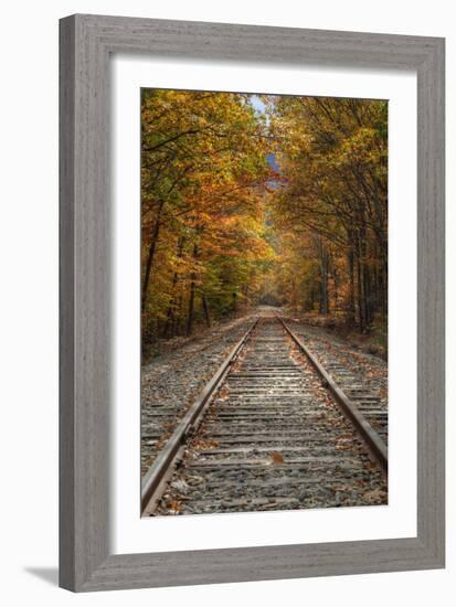 Autumn Railroad Tracks, White Mountain, New Hampshire-Vincent James-Framed Photographic Print