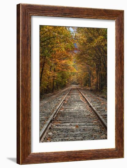 Autumn Railroad Tracks, White Mountain, New Hampshire-Vincent James-Framed Photographic Print