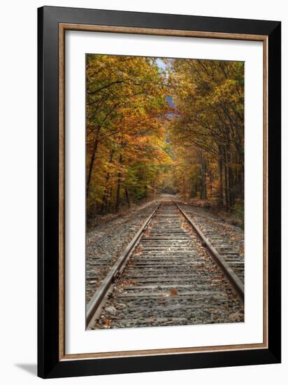 Autumn Railroad Tracks, White Mountain, New Hampshire-Vincent James-Framed Photographic Print