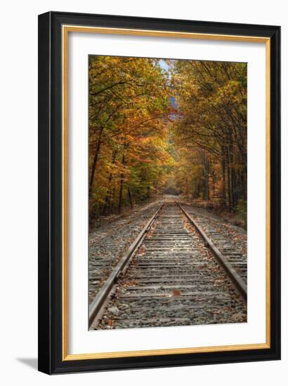 Autumn Railroad Tracks, White Mountain, New Hampshire-Vincent James-Framed Photographic Print