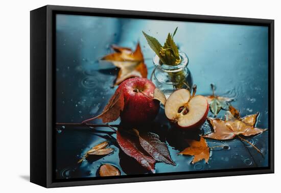 Autumn Rain and Apples-Dina Belenko-Framed Premier Image Canvas