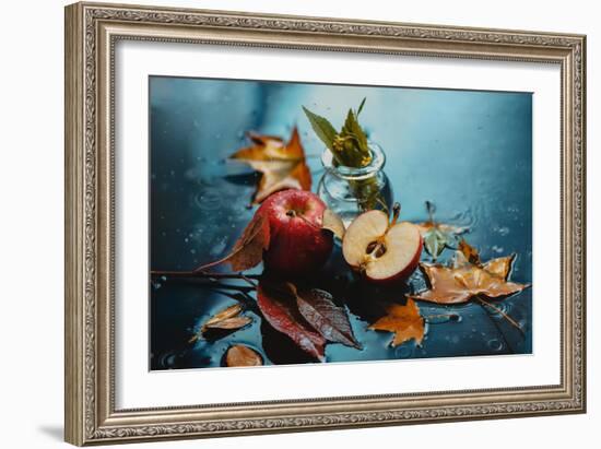 Autumn Rain and Apples-Dina Belenko-Framed Photographic Print