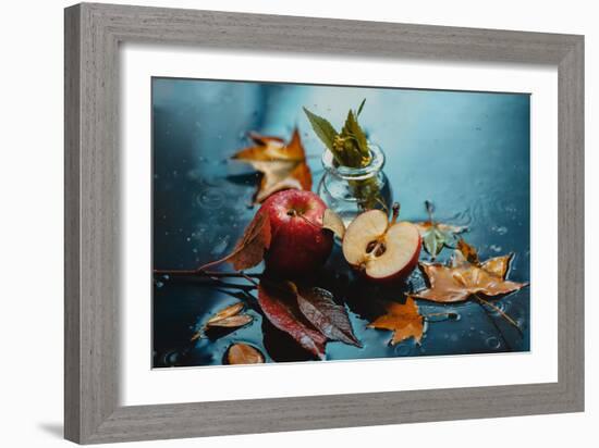 Autumn Rain and Apples-Dina Belenko-Framed Photographic Print