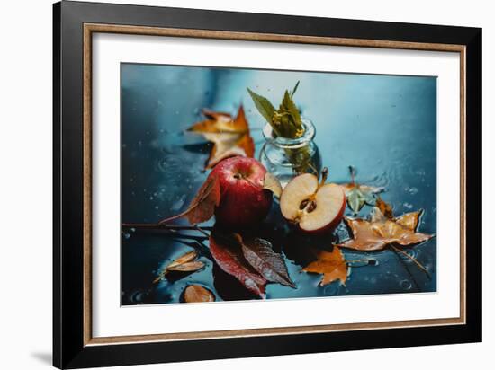 Autumn Rain and Apples-Dina Belenko-Framed Photographic Print