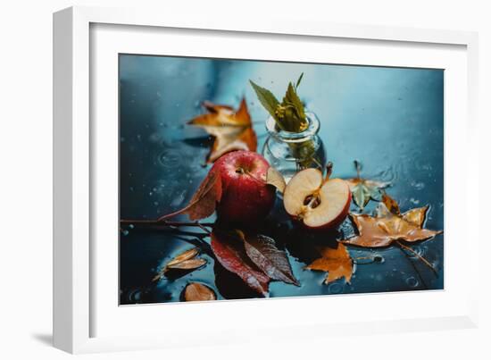 Autumn Rain and Apples-Dina Belenko-Framed Photographic Print