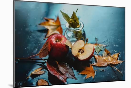 Autumn Rain and Apples-Dina Belenko-Mounted Photographic Print
