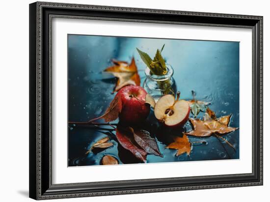 Autumn Rain and Apples-Dina Belenko-Framed Photographic Print