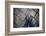 Autumn Rain-soupstock-Framed Photographic Print